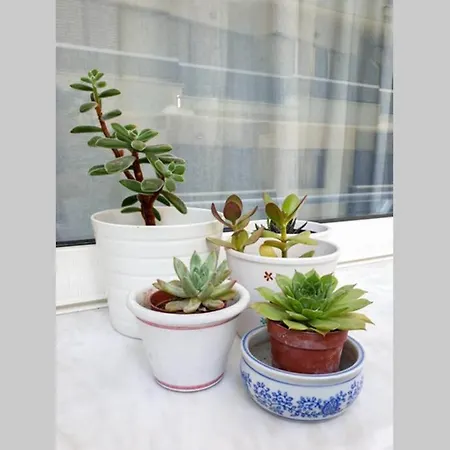 Your Cozy Downtown - *