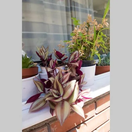 Your Cozy Downtown - Appartement Larissa