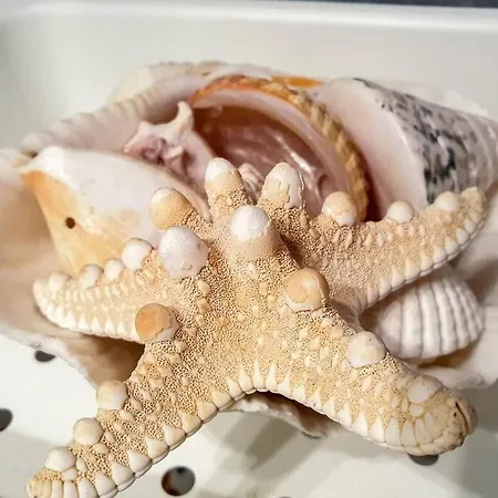 Your Cozy Downtown - * Larissa