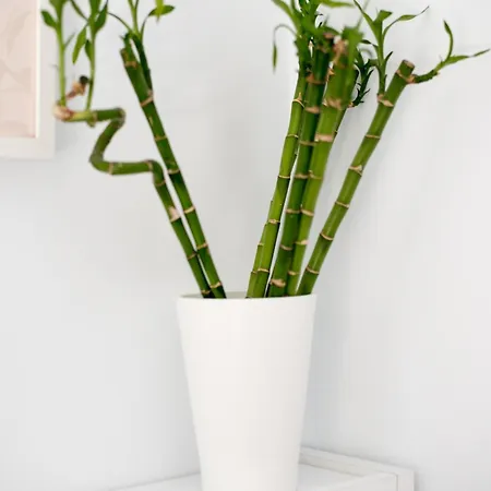 Your Cozy Downtown -