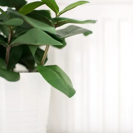 Your Cozy Downtown -