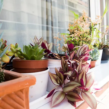 Your Cozy Downtown - * Larissa