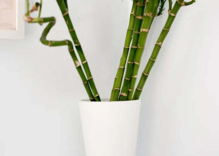 Your Cozy Downtown -