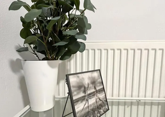 Your Cozy Downtown - Lägenhet *