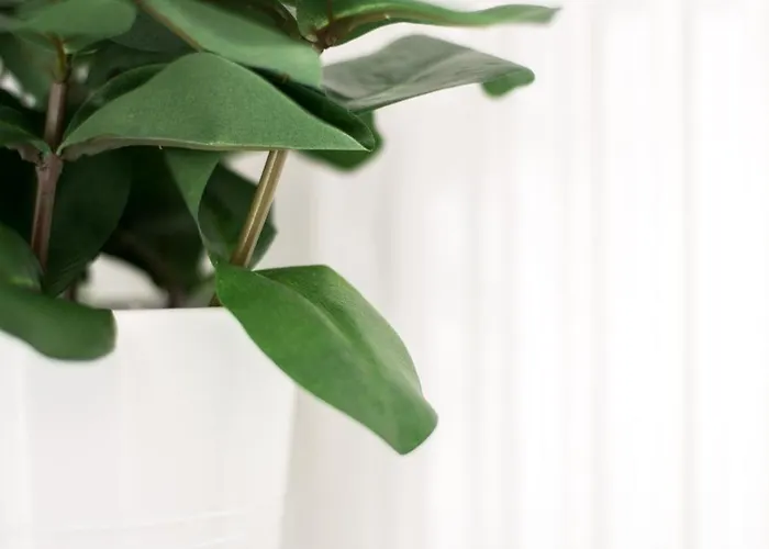 Your Cozy Downtown -