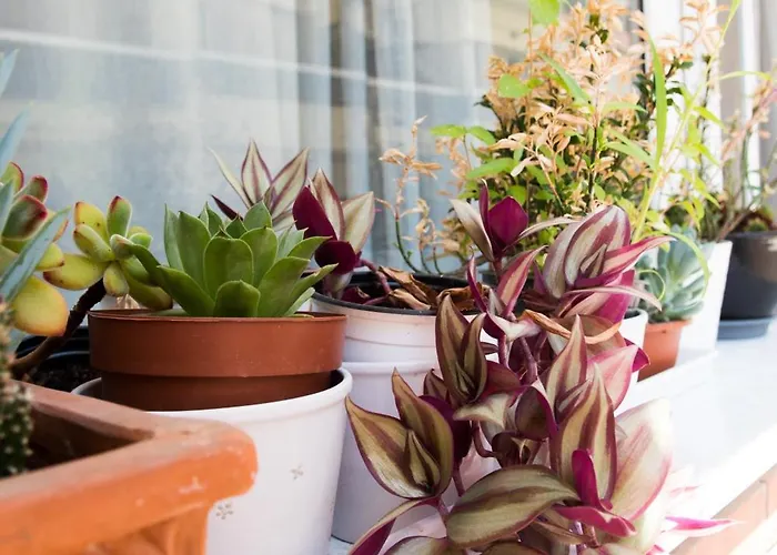 Your Cozy Downtown - * Larissa